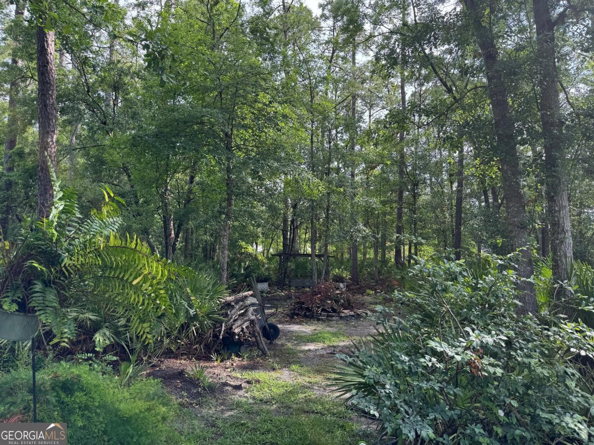 LOT 23-D Black Tern WAY