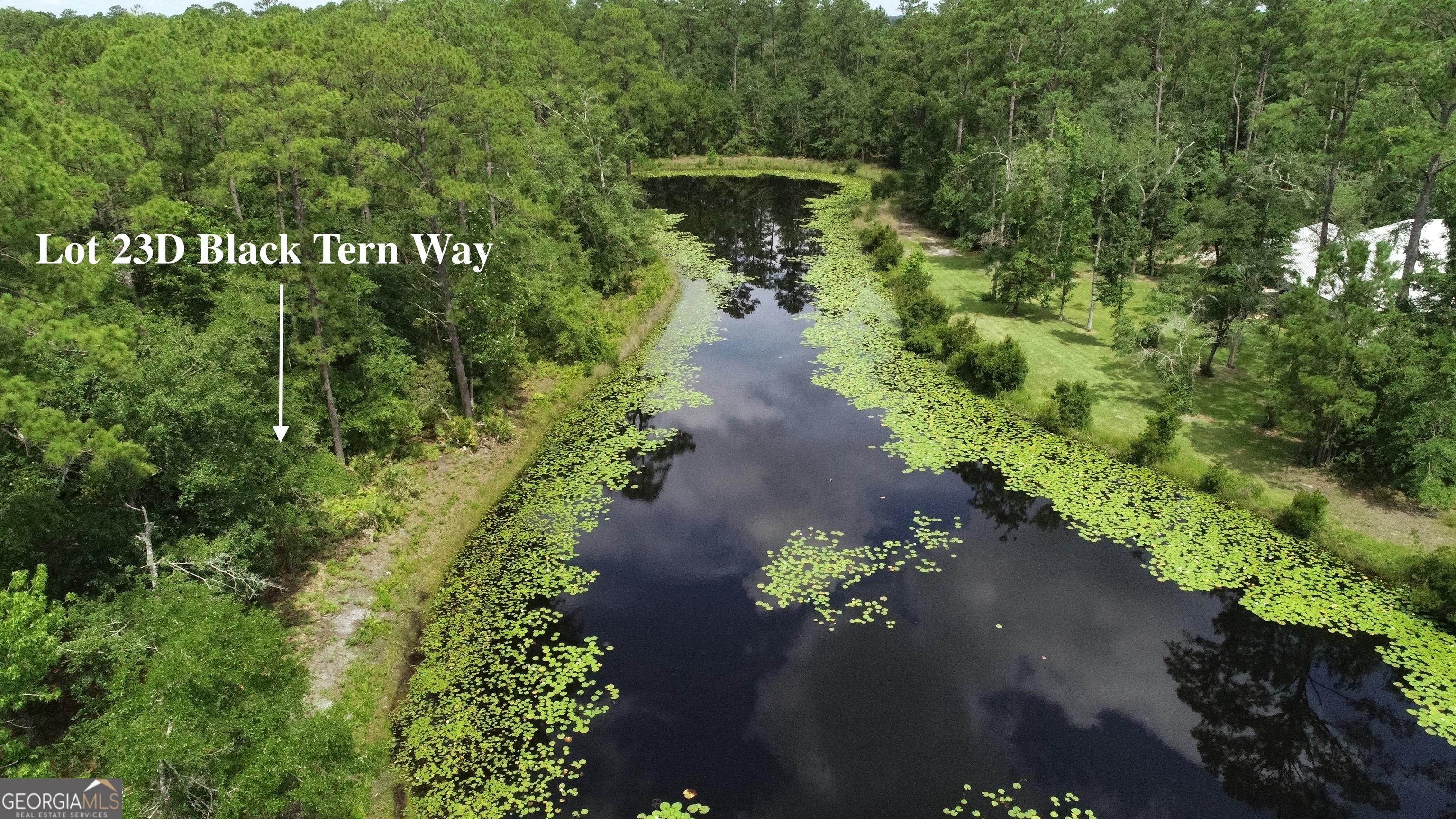 LOT 23-D Black Tern WAY