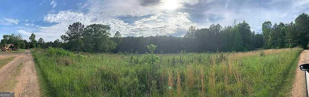 Photo of 744 Mauldin Road, Thomaston, GA 30286 (MLS # 10833658)