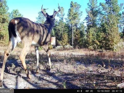 Photo of 0 Indian Trail Road, Sandersville, GA 31082 (MLS # 10647577)