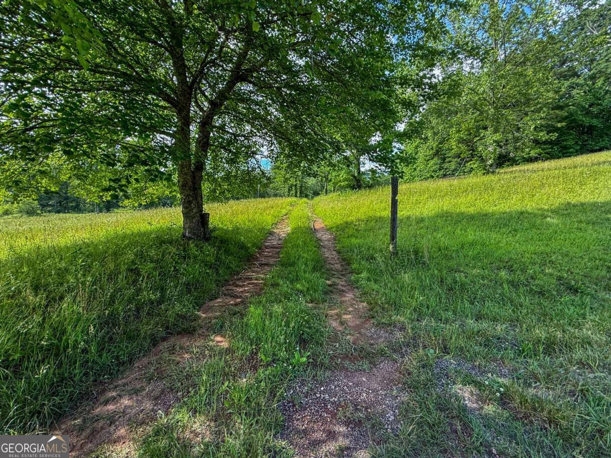 239 Glen Elliott RD