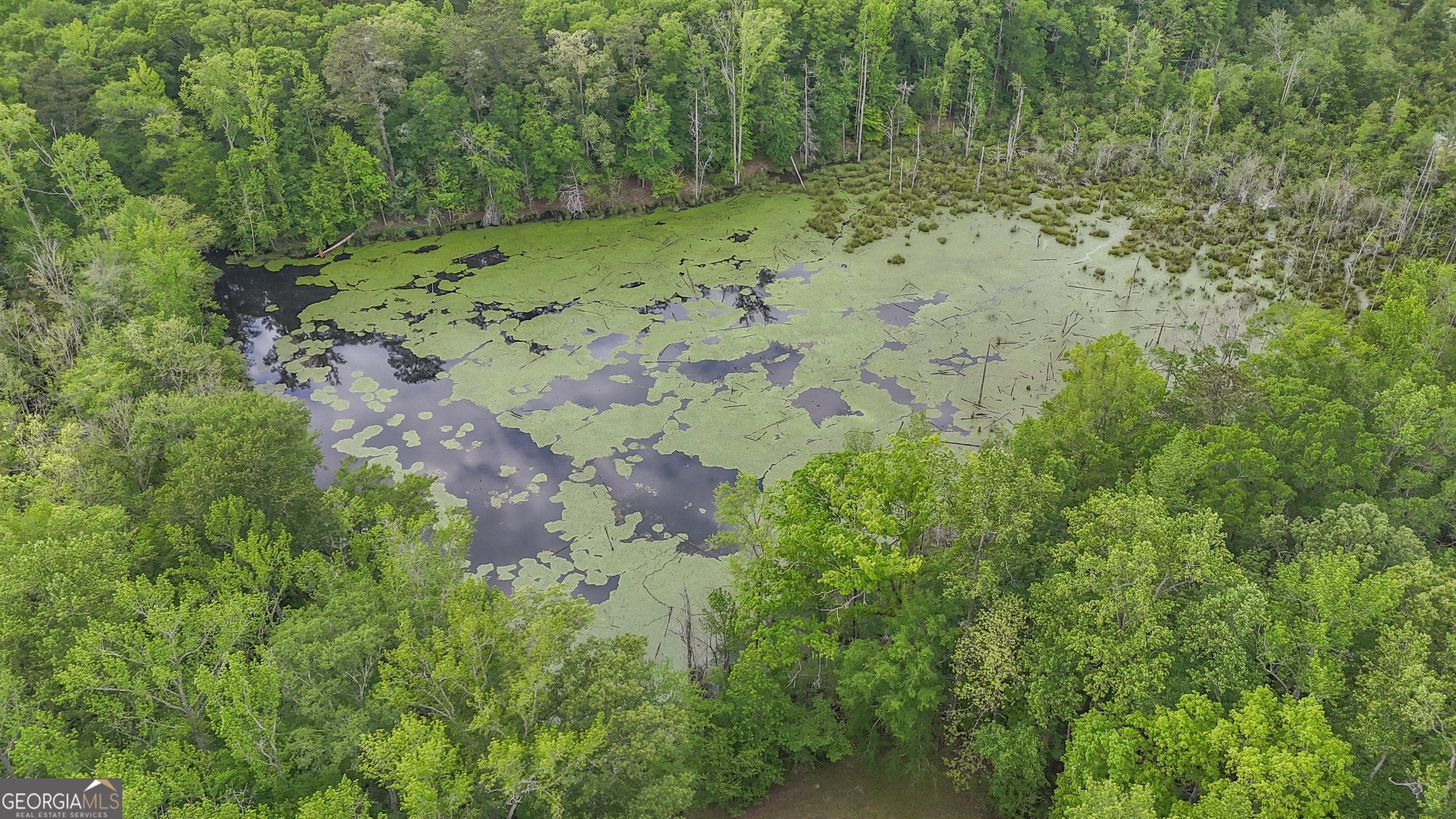 None/Longwate Farms - Land