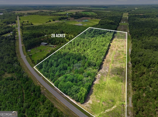 650 BENJAMIN H HILL DR SW, FITZGERALD, GA 31750 - Image 19c3b5b2c1386c60e3e330c83a89841e/2243930790