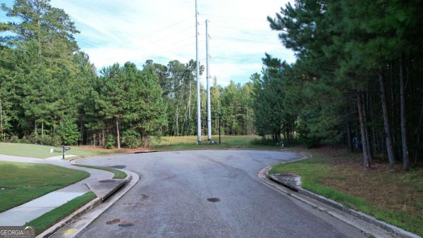 3040 WOOD VALLEY CT, LOGANVILLE, GA 30052 - Image 19da8a9d3fac0048b11c0ab9fc87421d/286936202