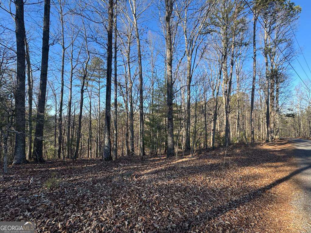 0 Rebekah Ridge Lot 1710