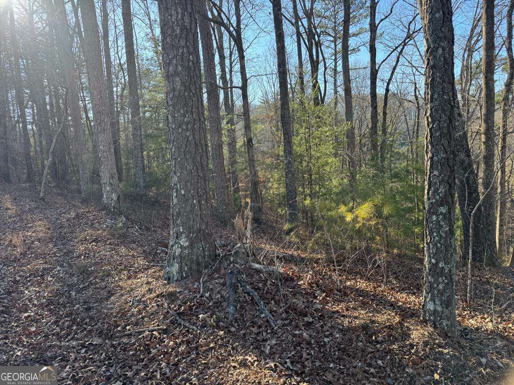 0 Rebekah Ridge Lot 1710