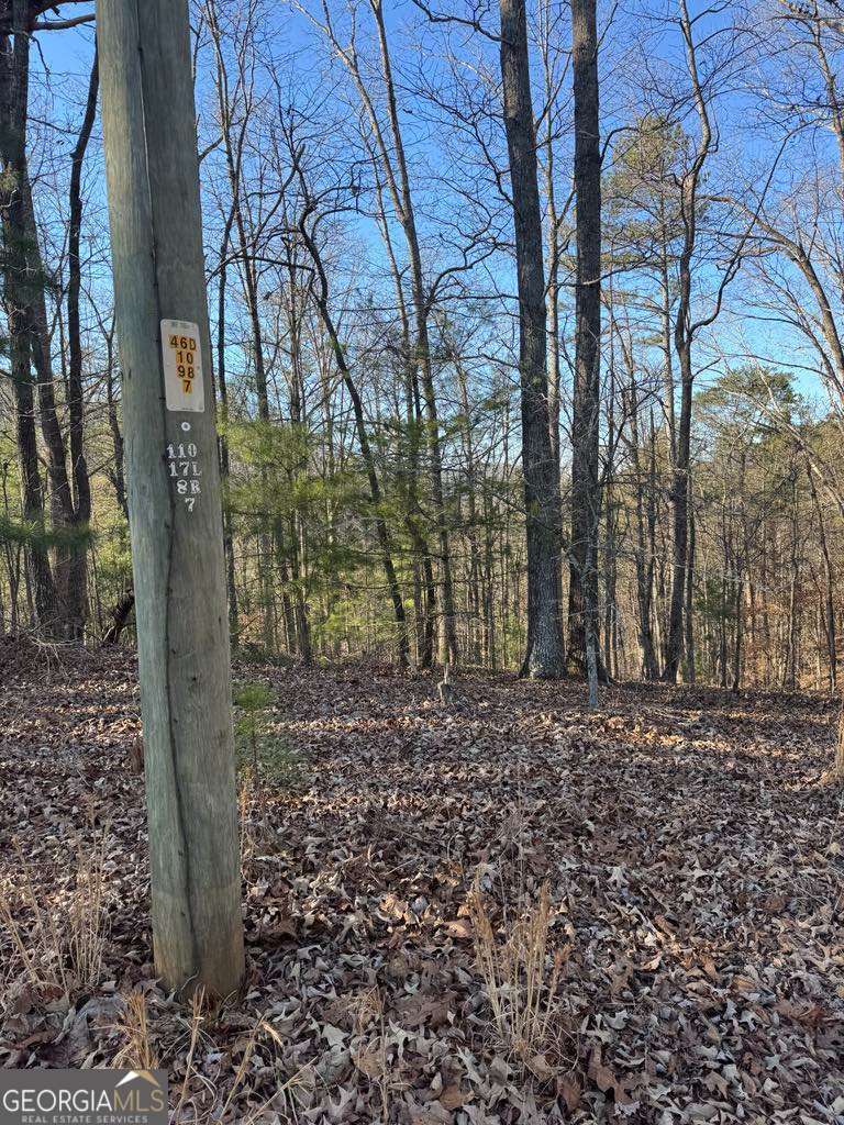 0 Rebekah Ridge Lot 1710