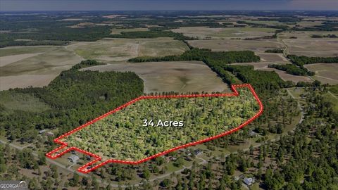 Photo of 278 Swann Drive, Cordele, GA 31015 (MLS # 10739742)