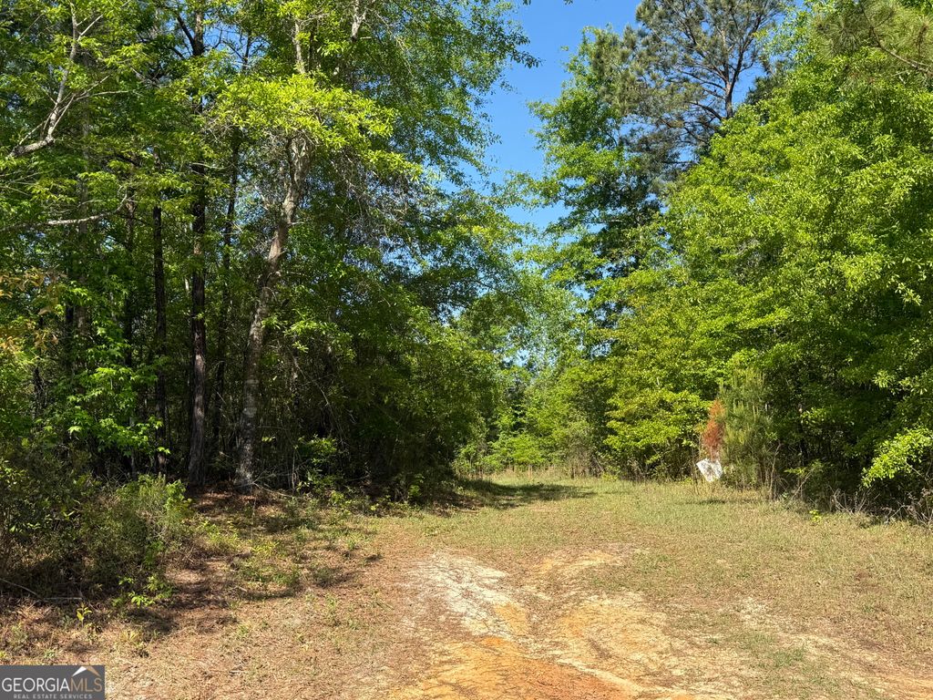 Photo of 8087 Sandhill Road, Mitchell, GA 30820 (MLS # 10735974)