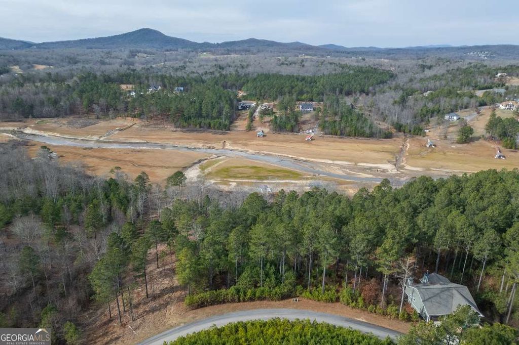 Photo of 205 The Cove @ 1300, Blairsville, GA 30512 (MLS # 10671303)