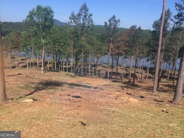 LOT 205 The Cove @ 1300