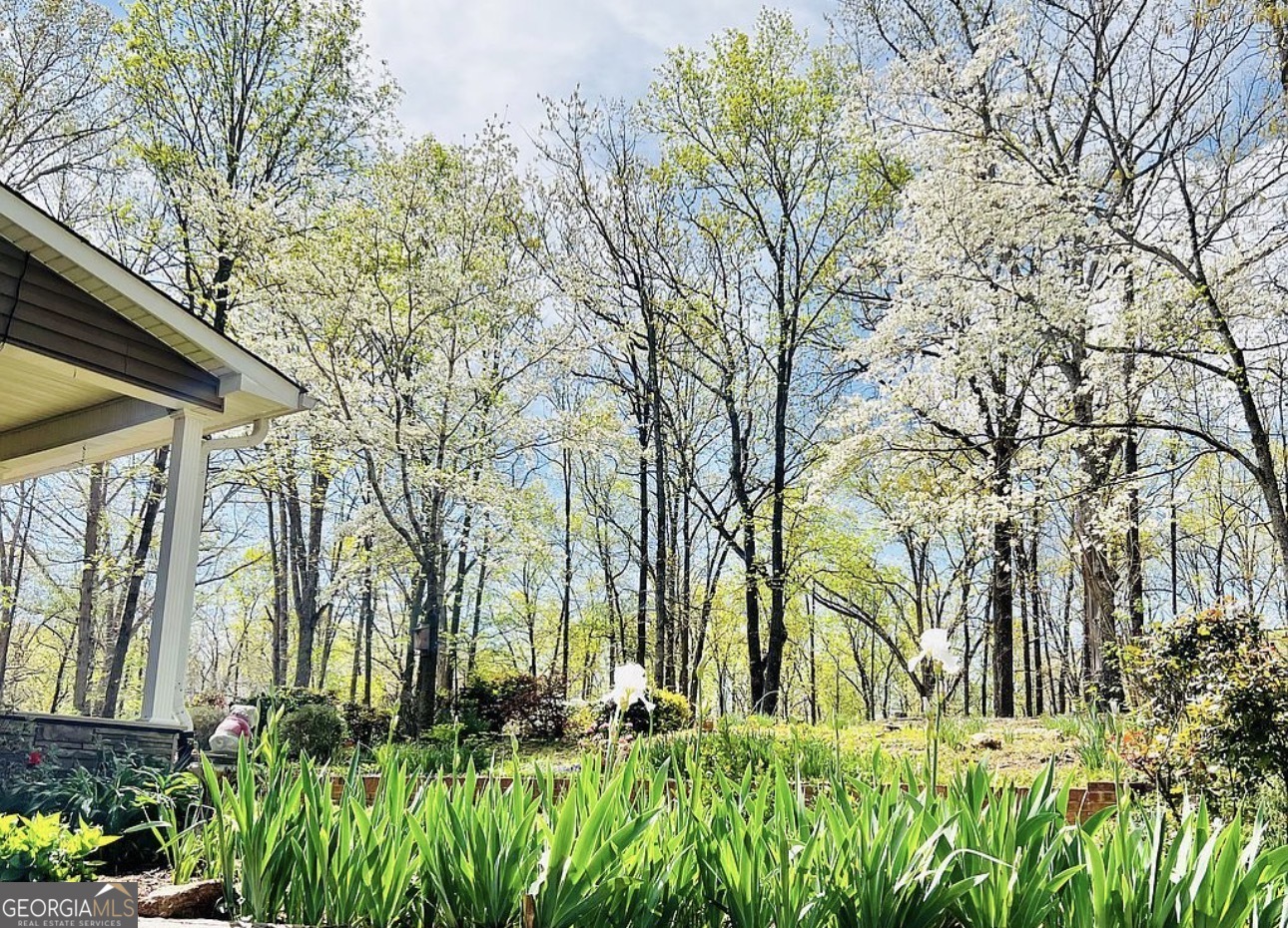 285 Wolf Den Road