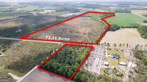 Photo of 1 Piney Grove Church Road, Baxley, GA 31513 (MLS # 10722485)