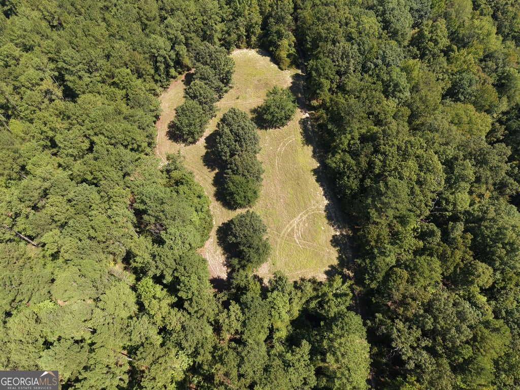 Photo of 0 Highway 102, Warthen, GA 31094 (MLS # 10837644)