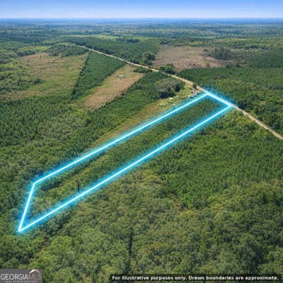 0 S CLOUGH BAY ROAD # LOT 5, WAYCROSS, GA 31503 - Image 1a17b81841618f52d5af1dcb0fefd4e8/3351119692