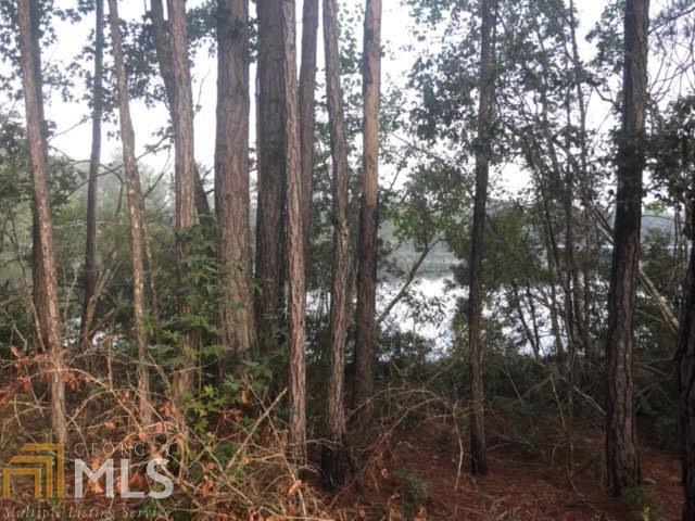 Looking for privacy with lake views? This is the perfect property for you! Residential building lot with views of Griffin Lake in Effingham County. This lot is just over an acre and would make a great homesite where you can enjoy the beautiful view of Griffin Lake. Current, updated survey on file.