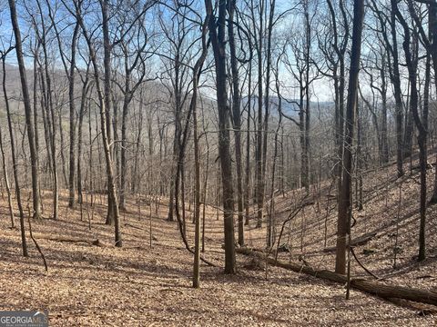 Photo of 1400 Valley View Drive, Jasper, GA 30143 (MLS # 10378093)