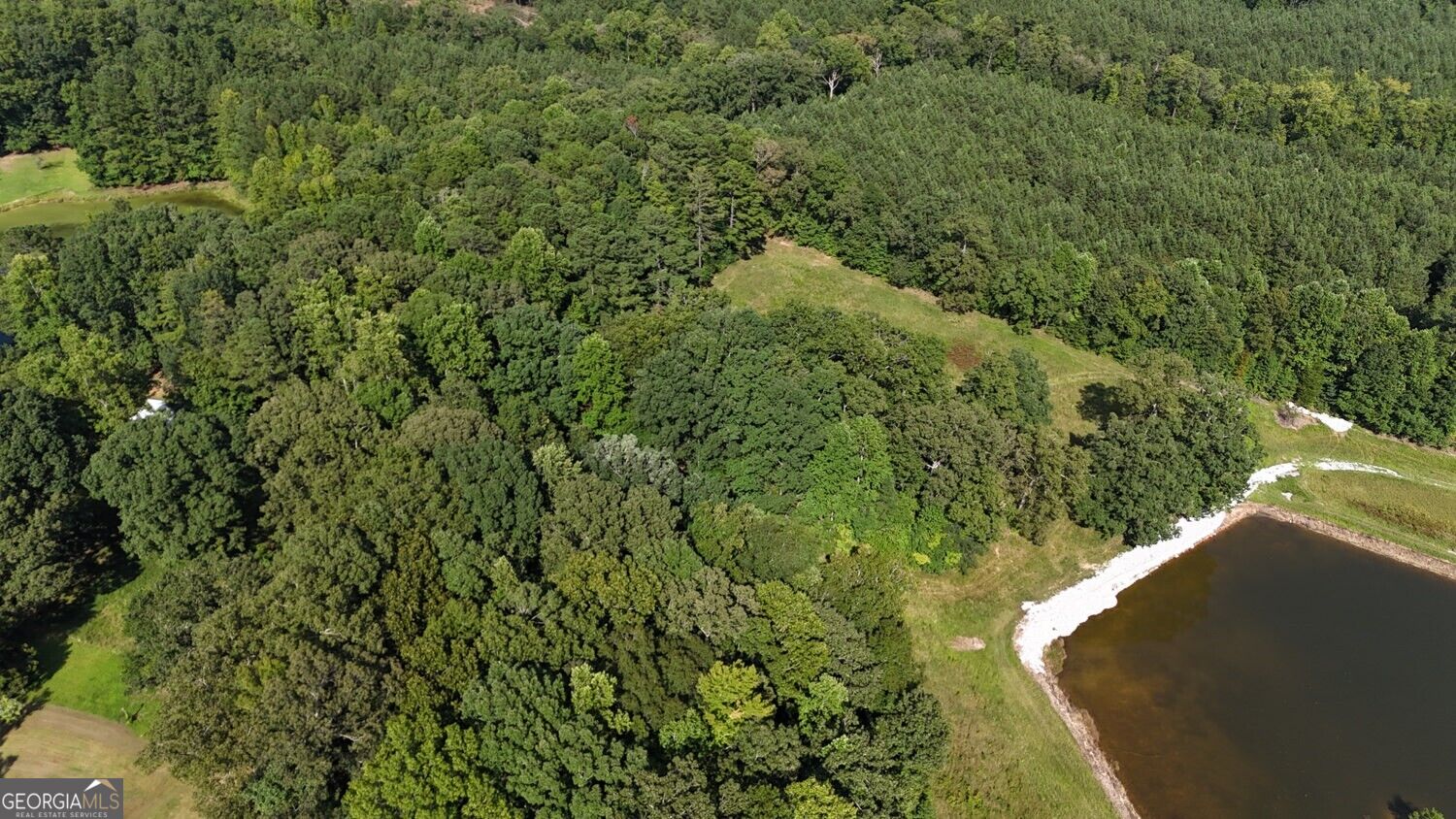 LOT 1 Snote Jones RD