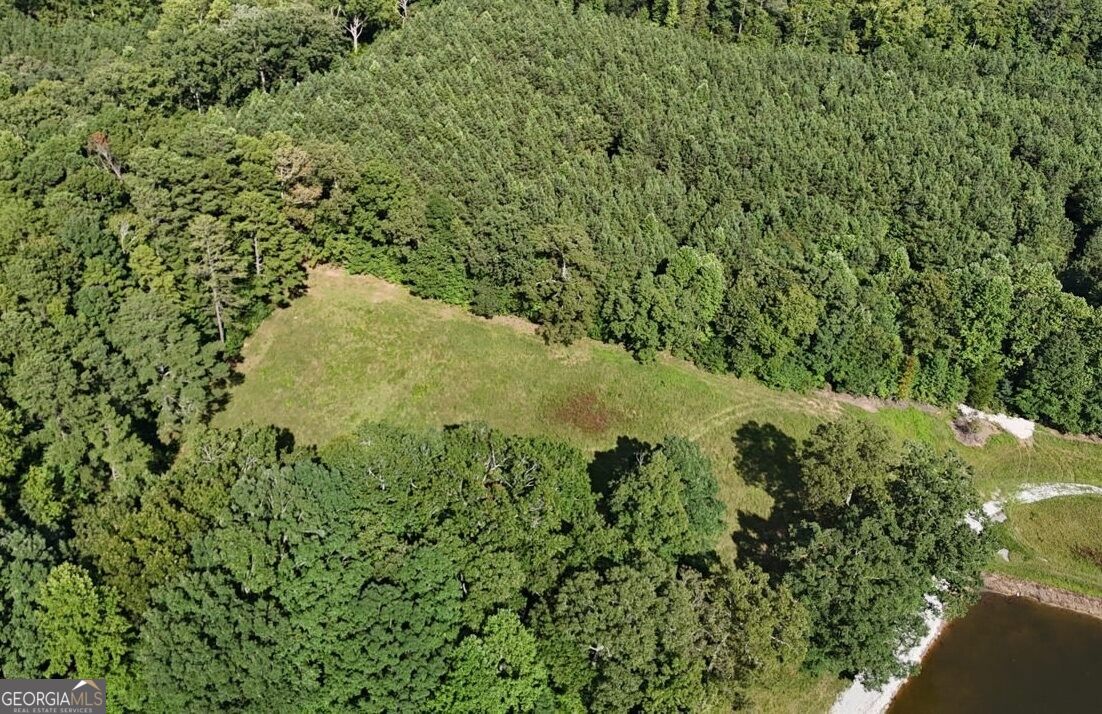 LOT 1 Snote Jones RD