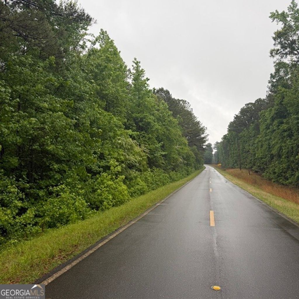 Photo of 145 George Smith Road, Talbotton, GA 31827 (MLS # 10763178)