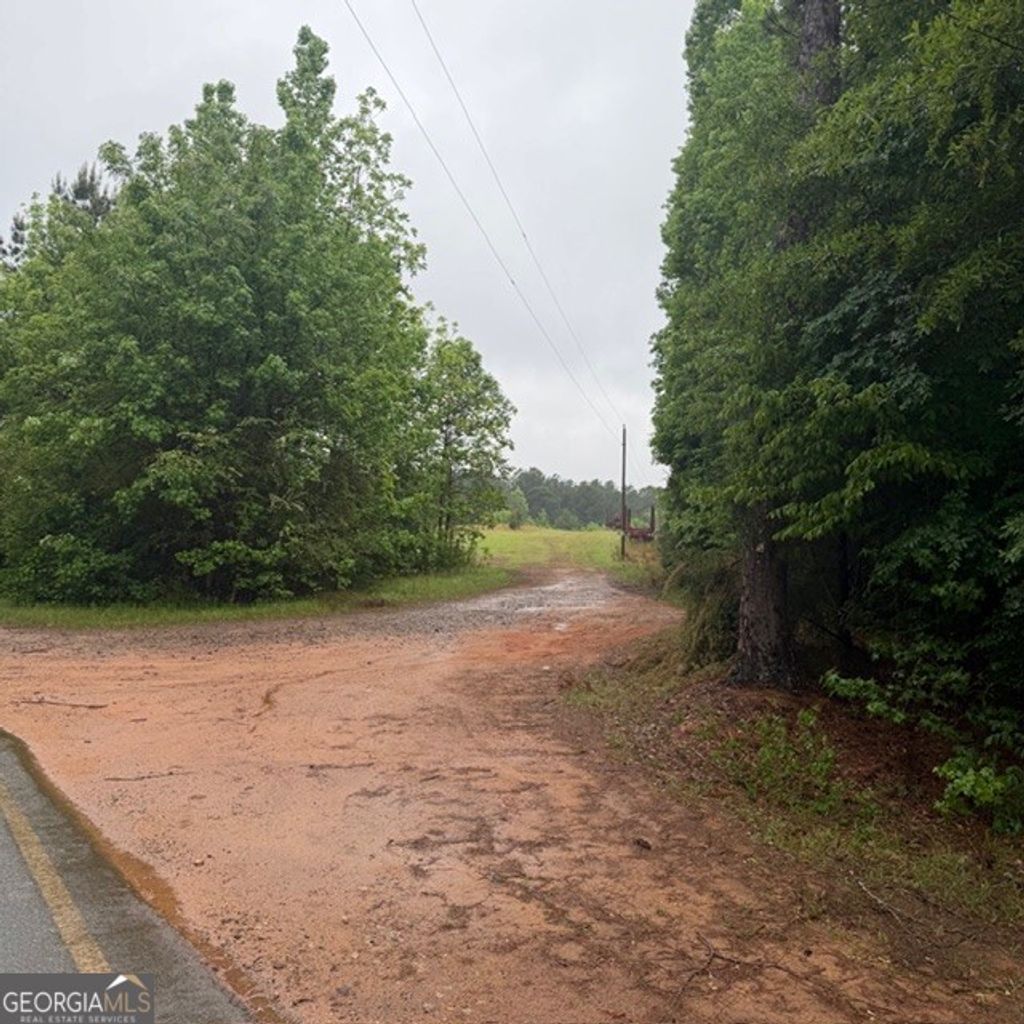 Photo of 145 George Smith Road, Talbotton, GA 31827 (MLS # 10763178)