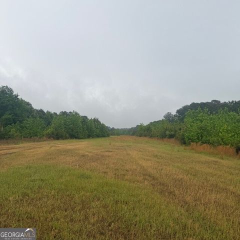 Photo of 145 George Smith Road, Talbotton, GA 31827 (MLS # 10763178)