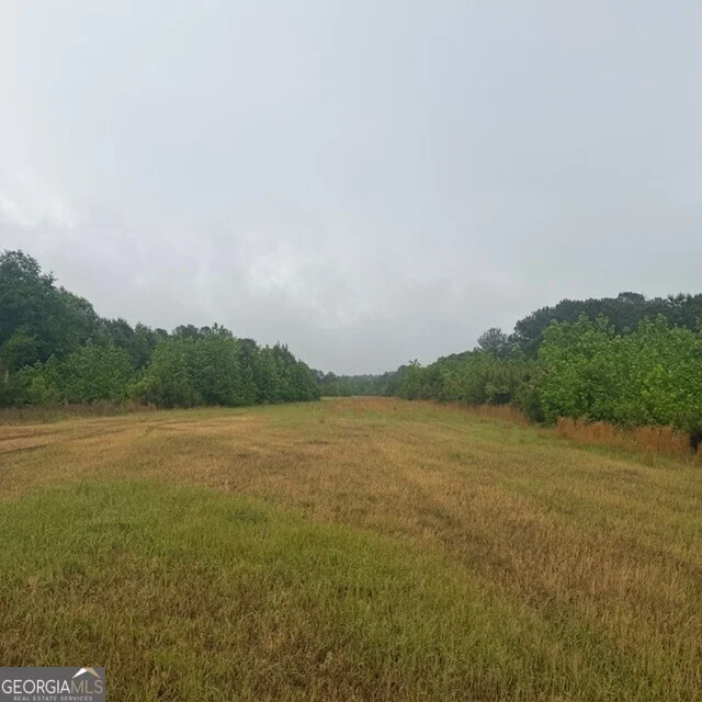145 +/- ACRES George Smith Road, Talbotton, GA, 31827