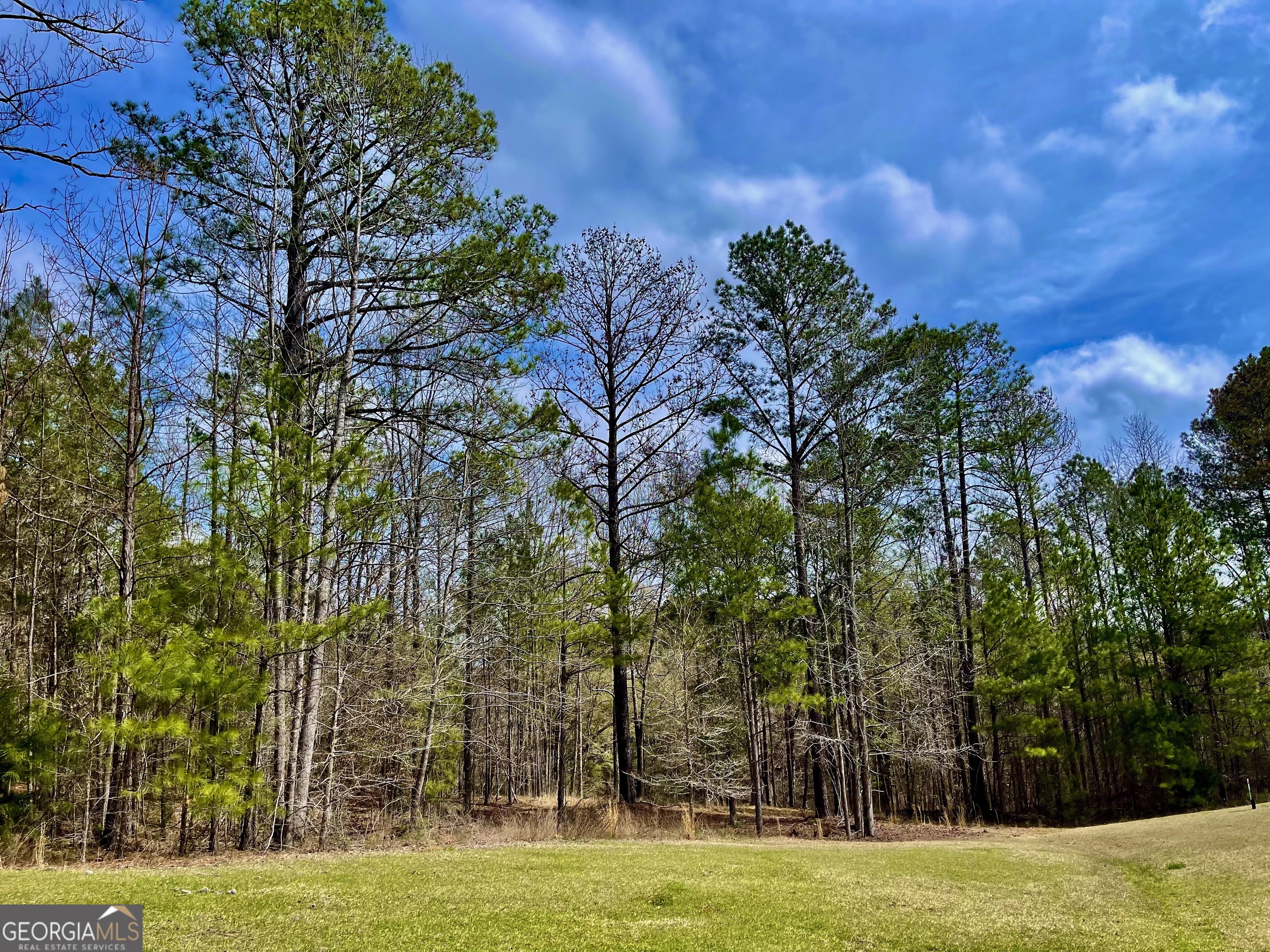 102 Forest Pointe DR