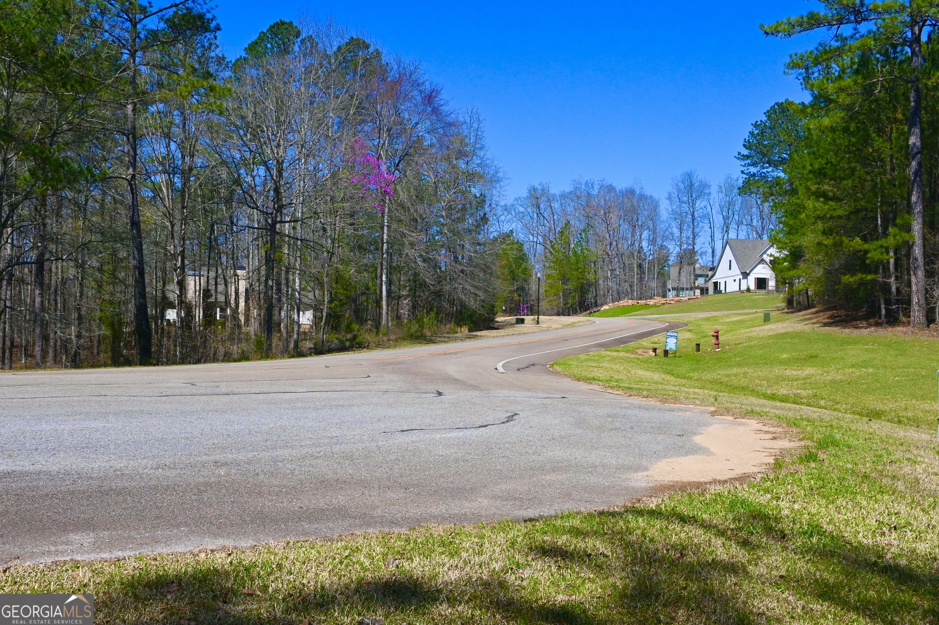 102 Forest Pointe DR