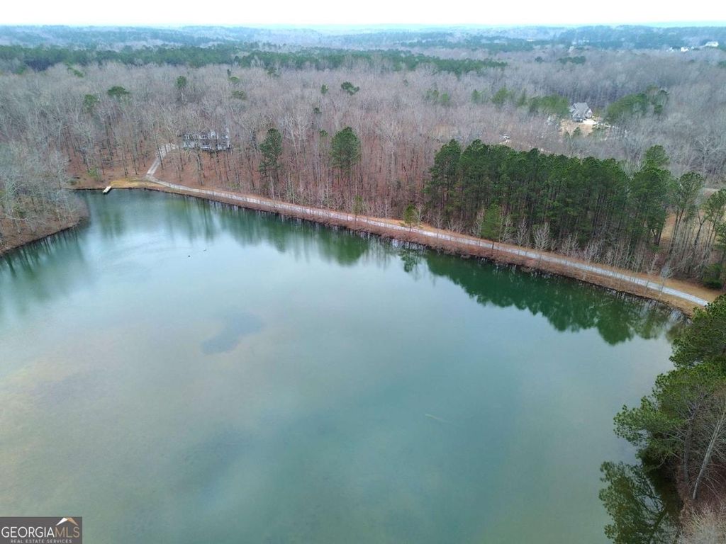 Photo of 1722 Luther Bailey Road, Senoia, GA 30276 (MLS # 10687587)