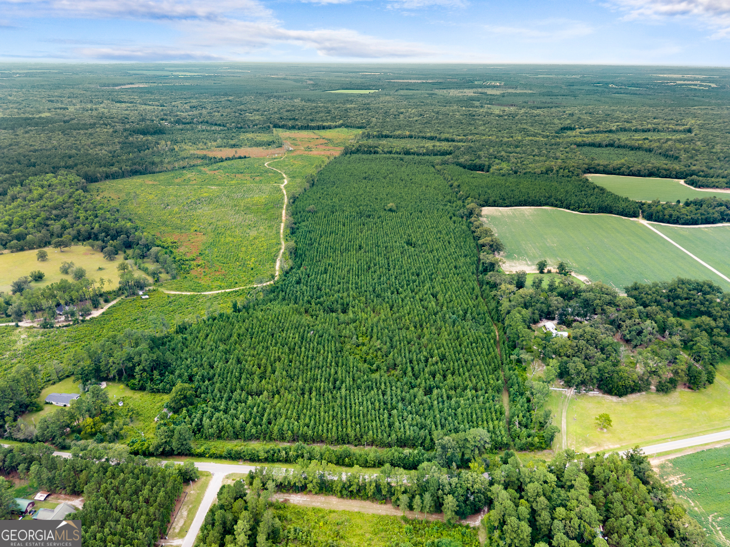 Approximately 14 Acres - Old River Rd N, Statesboro, GA Discover the perfect setting for your dream home or weekend getaway on approximately 14 acres of peaceful, undeveloped land located on Old River Rd N in Statesboro, GA. This beautiful tract offers a great mix of open space and natural privacy, and includes an existing well and pump house-an added value for future development. Please note: the acreage listed is approximate and not guaranteed. A survey will be required to determine exact acreage. Don't miss this opportunity to own your own slice of the countryside while still being conveniently close to town!