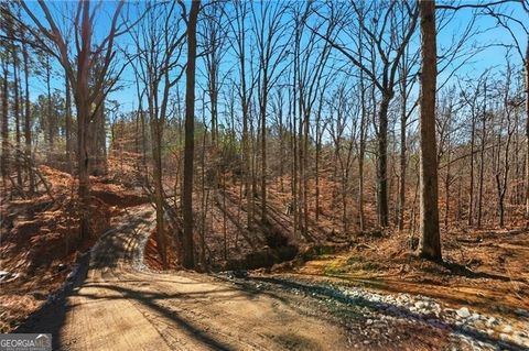 Photo of 6731 Acres on Pete Path, Dallas, GA 30157 (MLS # 10678003)