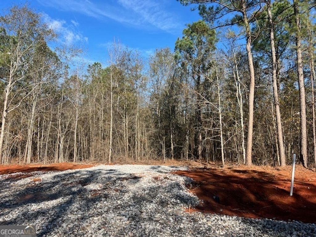 Photo of 150 Berry Road, Barnesville, GA 30204 (MLS # 10649970)