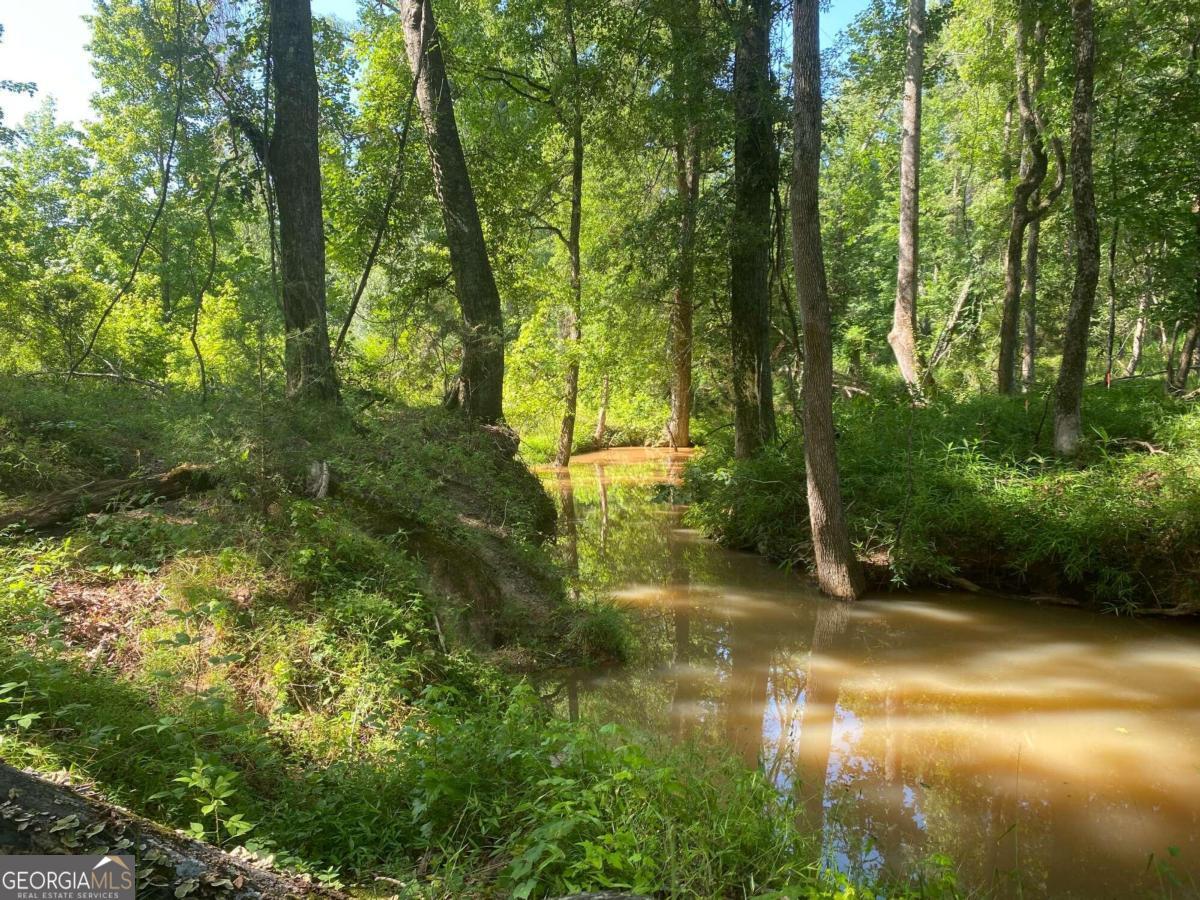 1710 Whistling Creek XING LOT 18