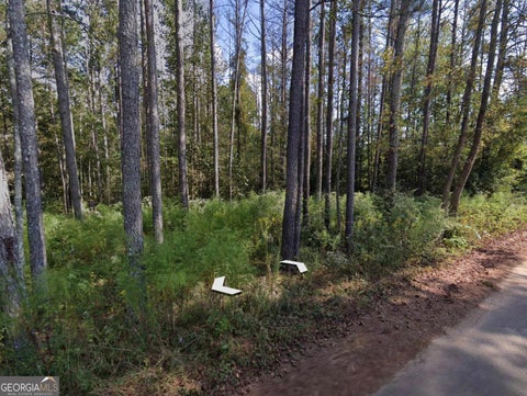 Photo for 0 Holly RD TRACT 3