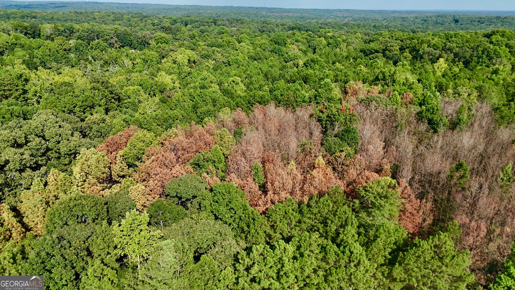 Photo of 0 TRACT B Cool Springs Road, Winston, GA 30187 (MLS # 10841373)