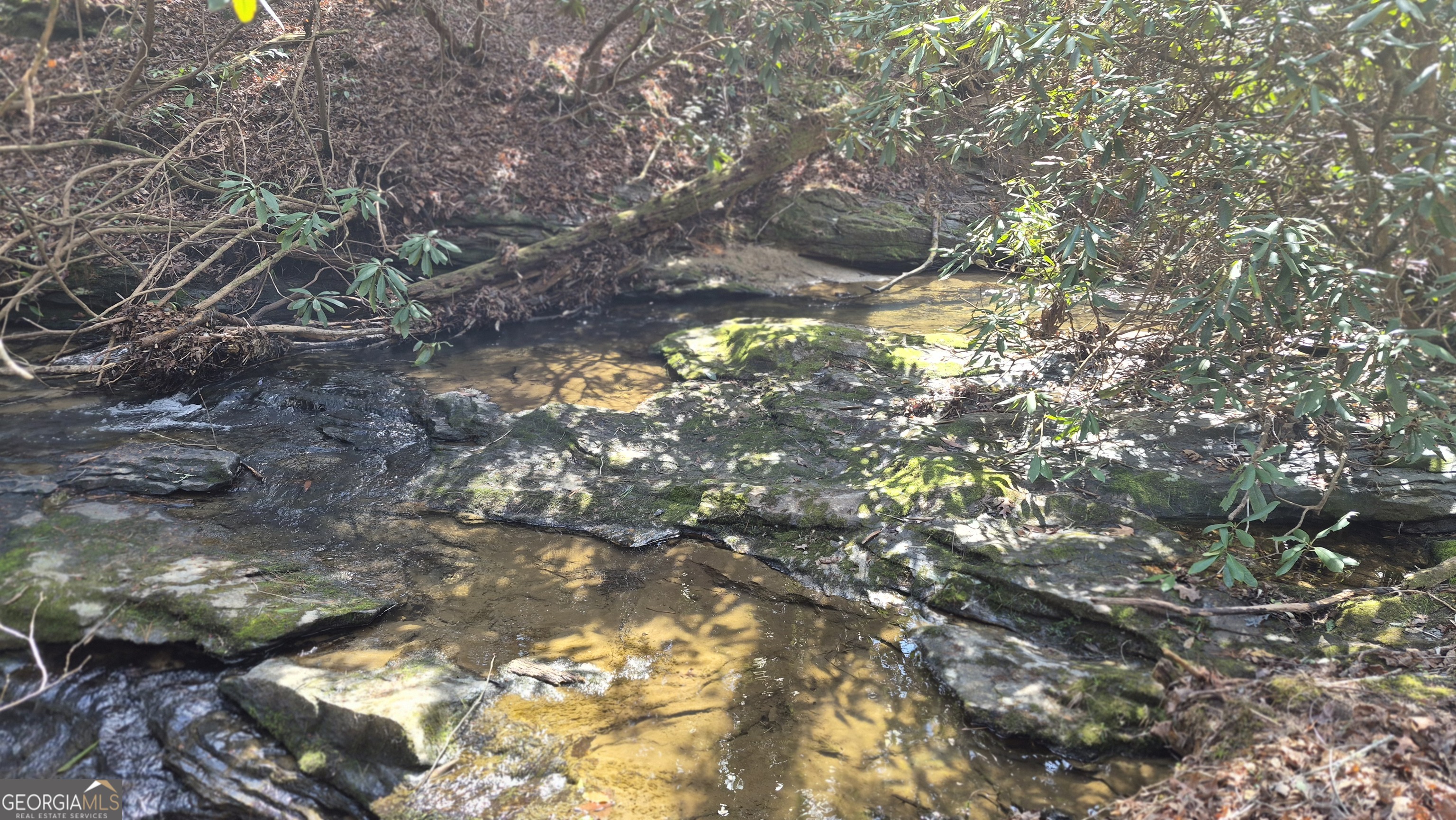 122 Lost Habersham Valley DR