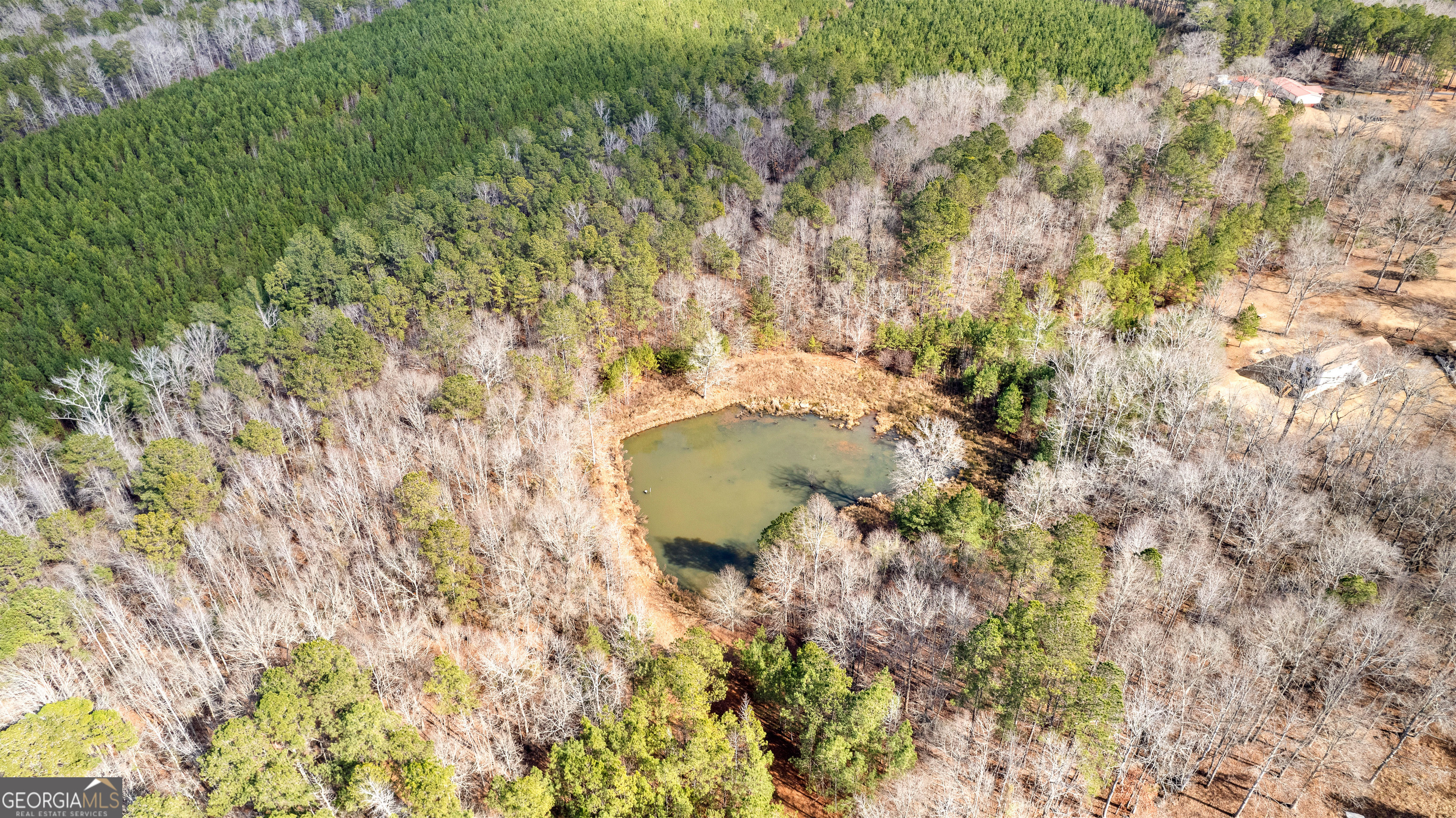 Thomaston, Georgia 30286, United States, ,Land,Active,185972