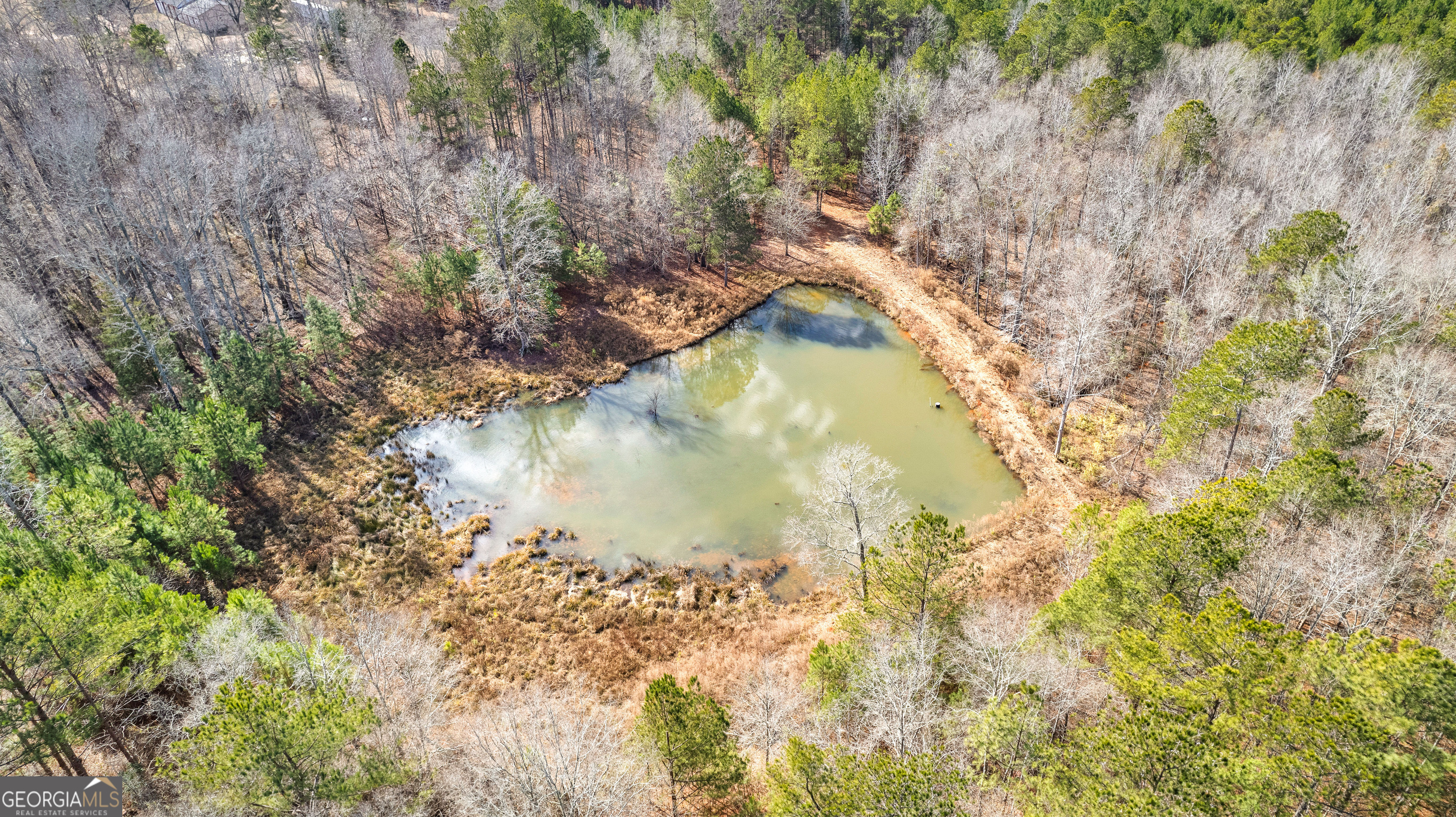 Thomaston, Georgia 30286, United States, ,Land,Active,185972