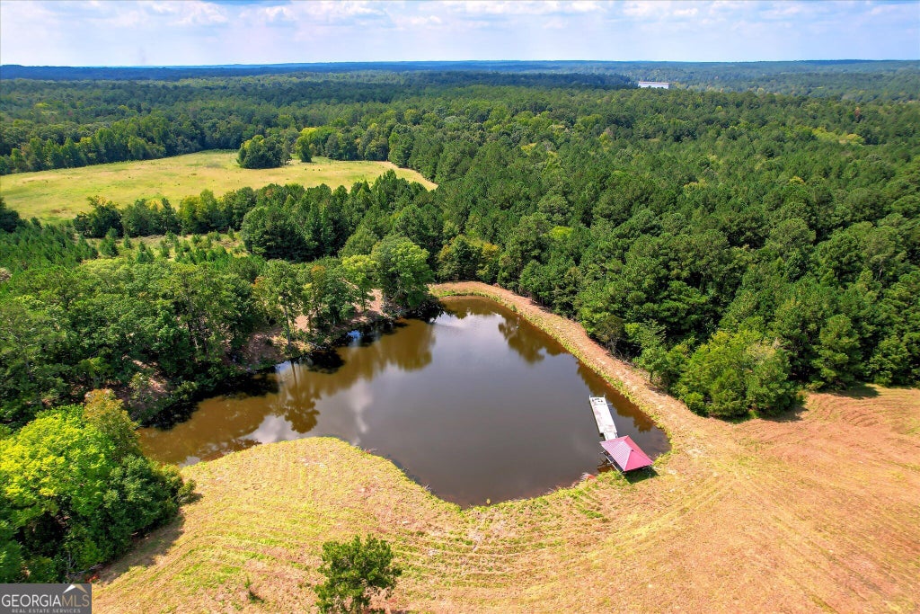 Photo of 2207 McCormick Highway, Lincolnton, GA 30817 (MLS # 10866737)