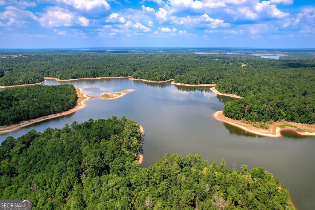 Photo of 2207 McCormick Highway, Lincolnton, GA 30817 (MLS # 10866737)