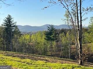 LOT 1 Highway 52 W