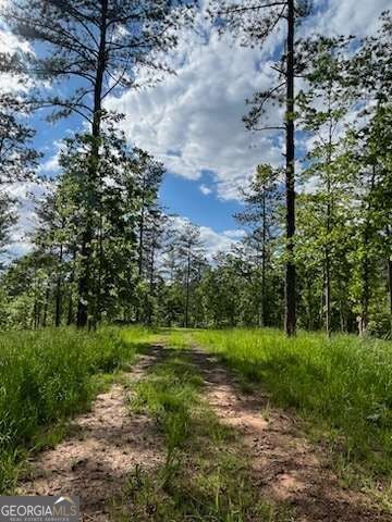 LOT 1 Highway 52 W