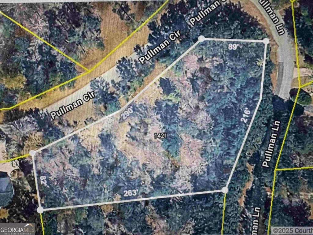 Photo of 1421 Pullman Lane, Greensboro, GA 30642 (MLS # 10661212)