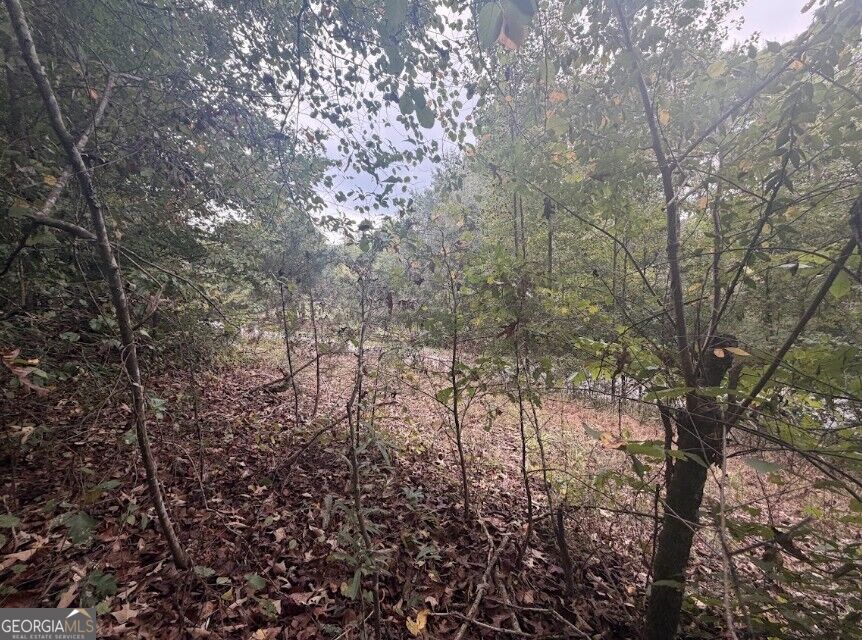 Photo of 0 Lebanon Church Road #TRACT 3, Jefferson, GA 30549 (MLS # 10868474)