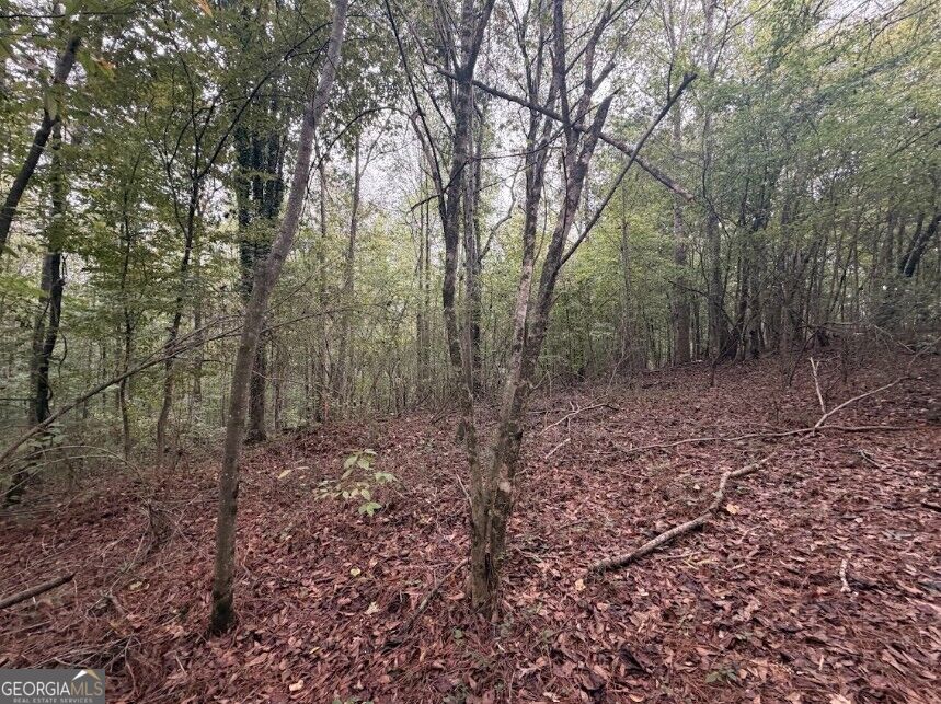 Photo of 0 Lebanon Church Road #TRACT 3, Jefferson, GA 30549 (MLS # 10868474)