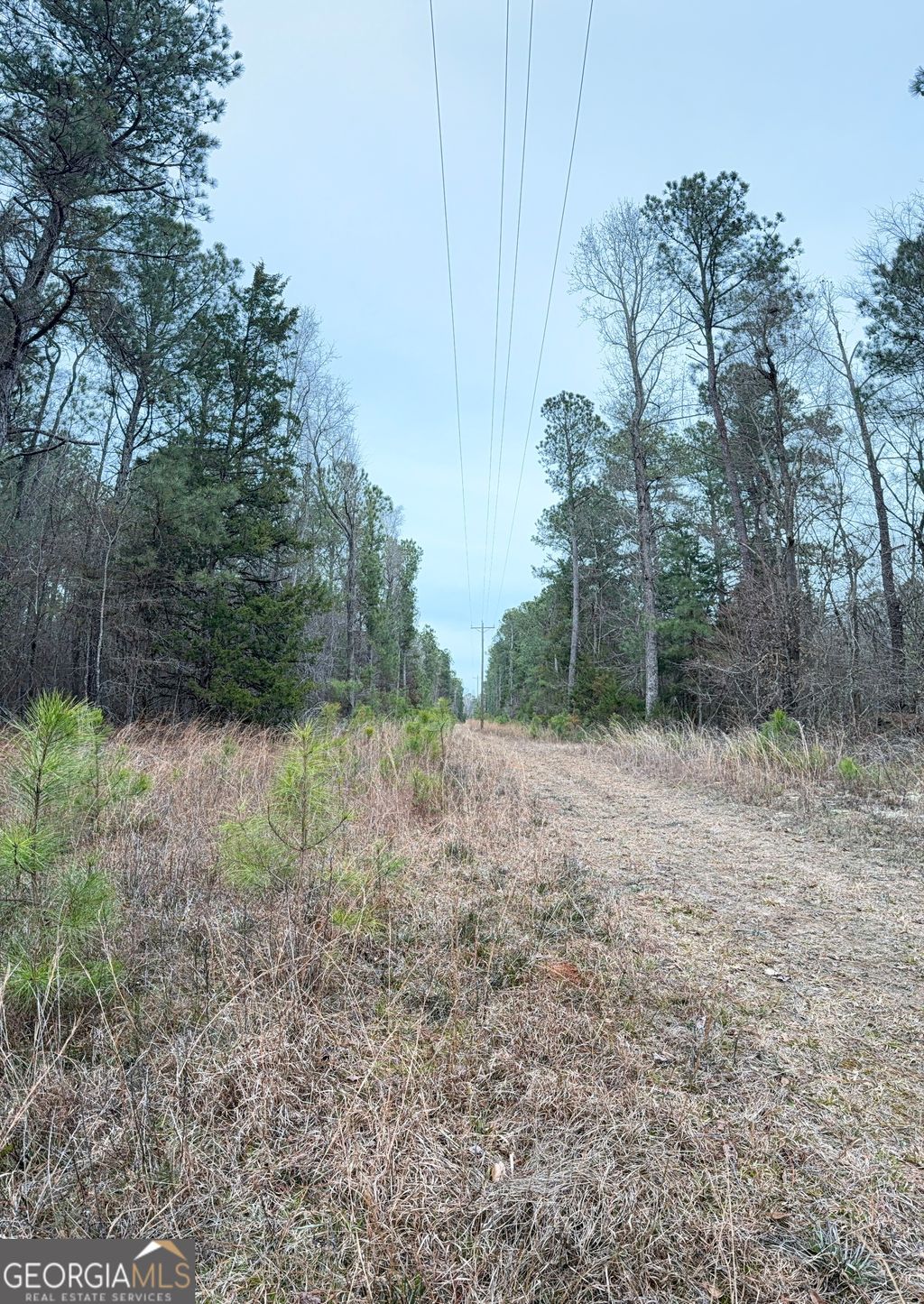 Photo of 0 Veribest Road, Carlton, GA 30627 (MLS # 10689761)