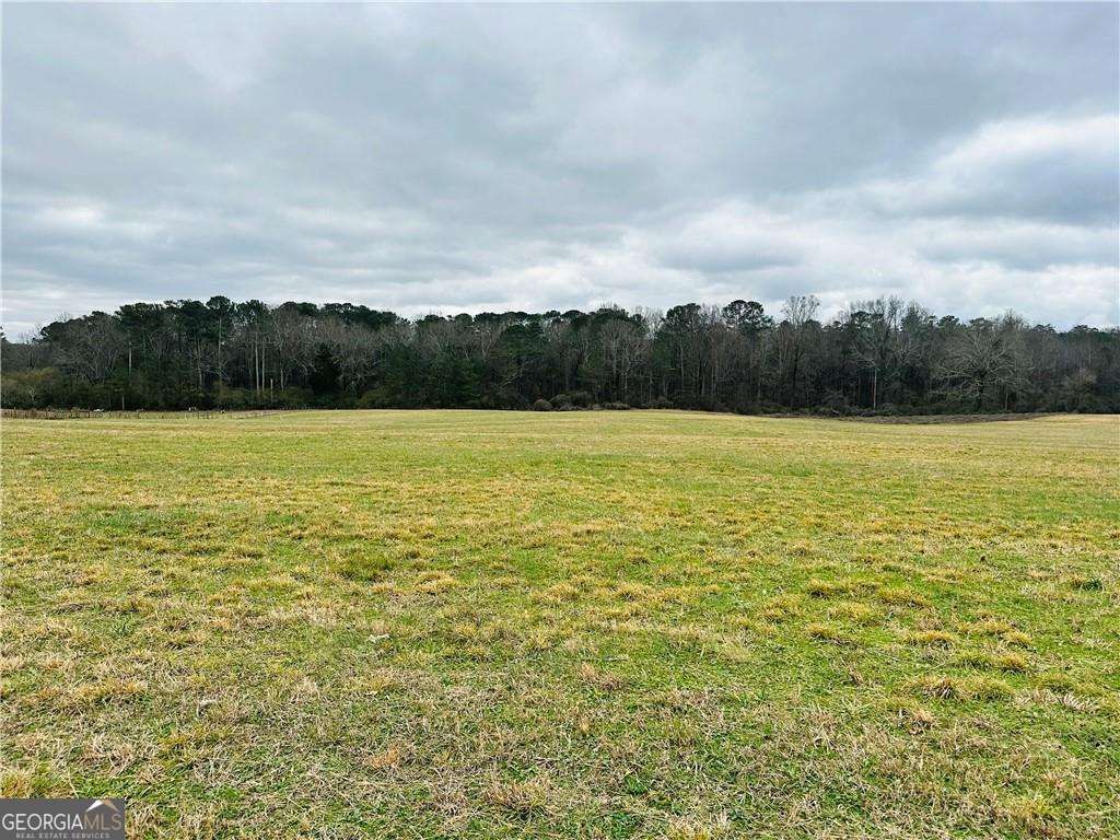 Photo of 0 Bryant Road, Ranger, GA 30734 (MLS # 10684467)