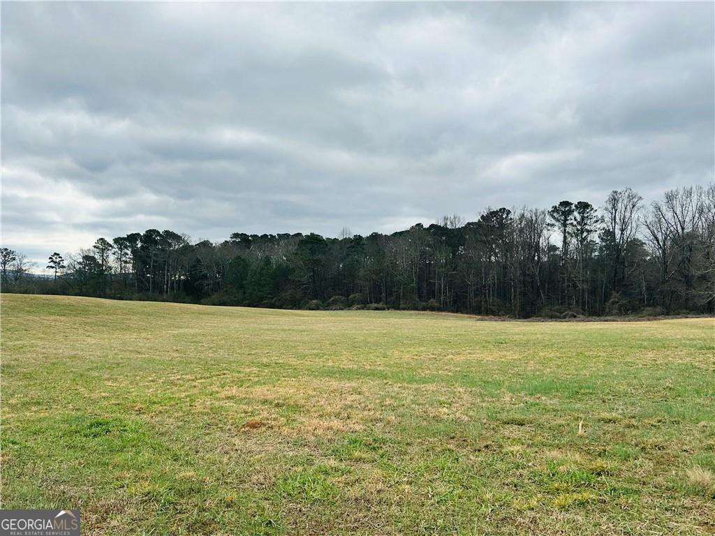 Photo of 0 Bryant Road, Ranger, GA 30734 (MLS # 10684467)