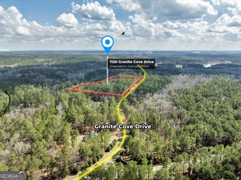 1120 Granite Cove DR Greensboro GA 30642
